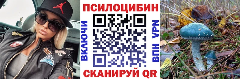 shop клад  Рязань  Псилоцибиновые грибы Psilocybe 