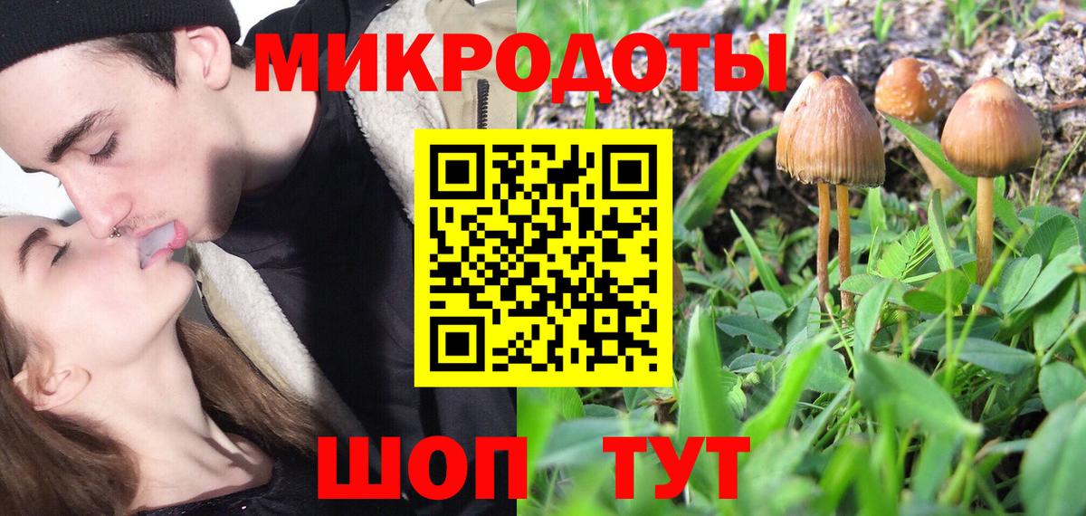 Псилоцибиновые грибы мицелий Рязань