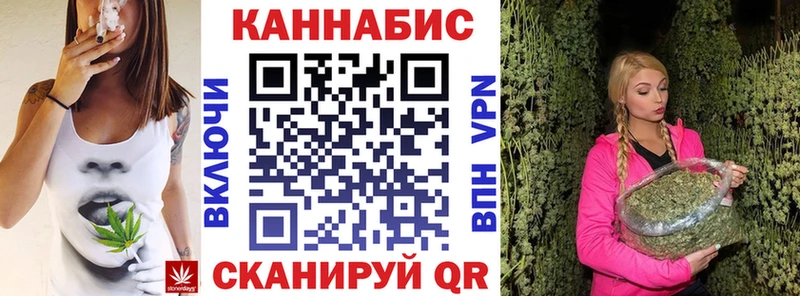 хочу   Рязань  даркнет Telegram  Бошки марихуана гибрид 